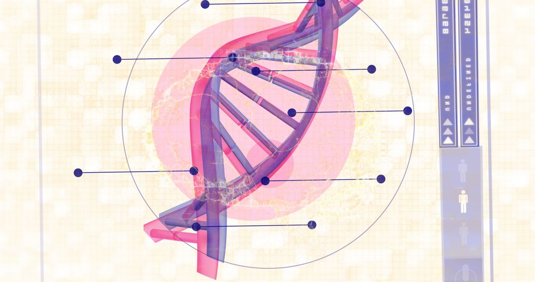 Human Brain and DNA Strand with Digital Interface Elements