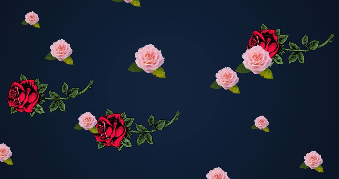 Floating Pink and Red Roses on Dark Blue Background