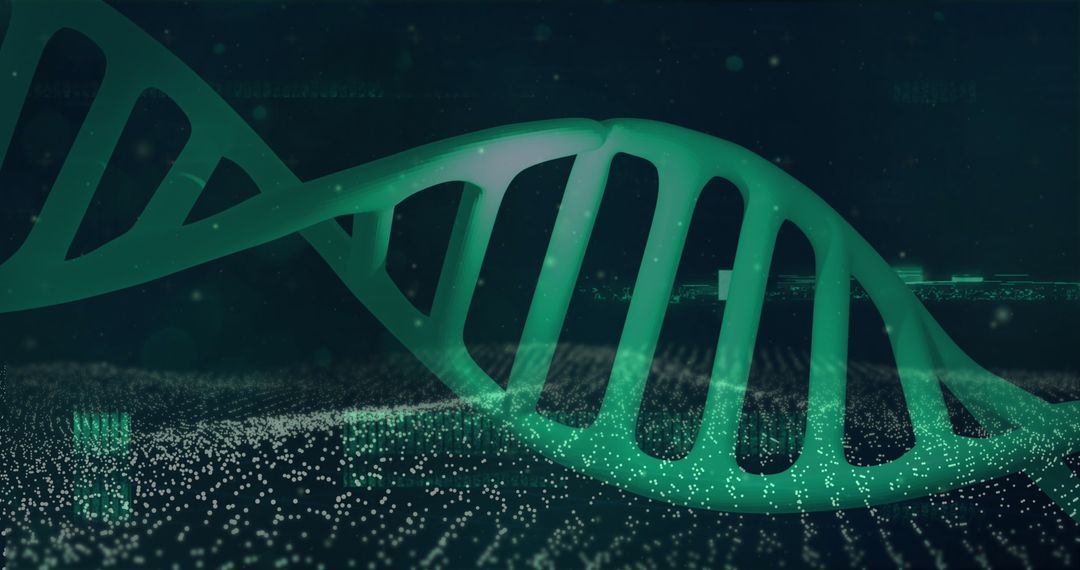 Rotating DNA Strand in Digital Matrix Environment
