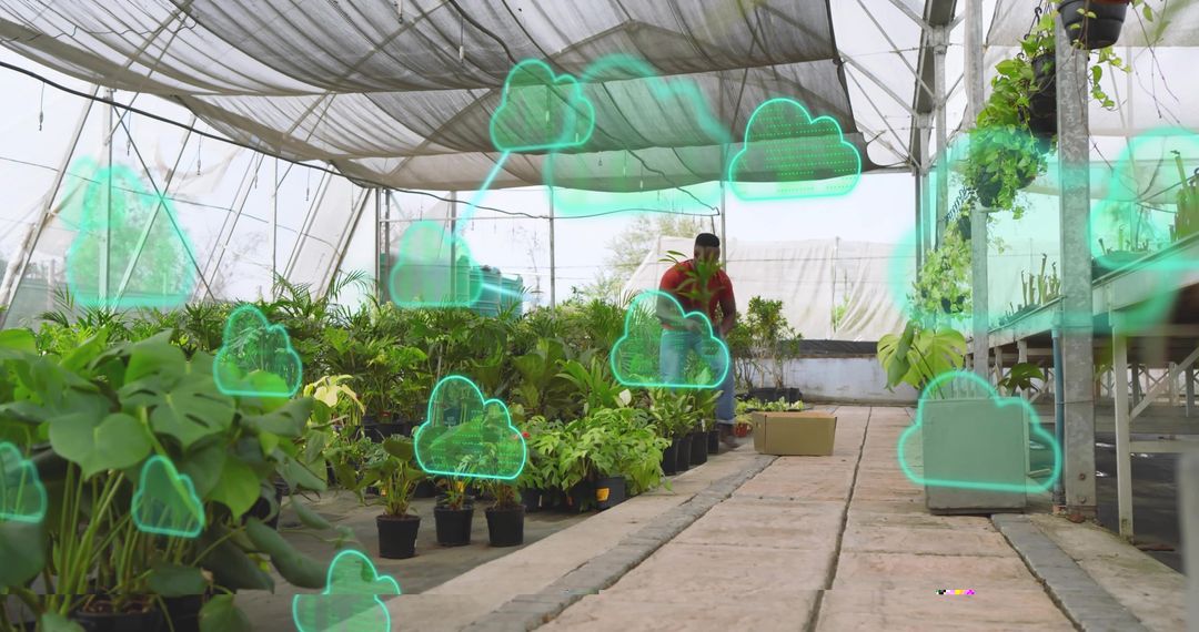 Nursery Worker Tending Smart Greenhouse with Cloud Data Overlays and Potted Plants