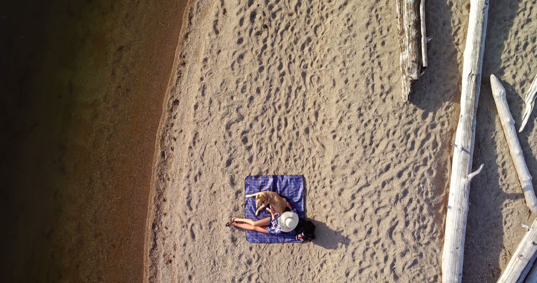 Aerial View of Woman Relaxing with Dog on Sandy Beach - Free Images, Stock Photos and Pictures on Pikwizard.com