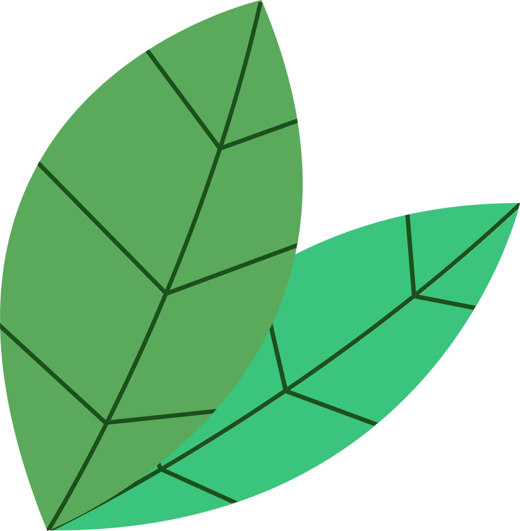 Green Leaves with Geometric Veins on Transparent Background