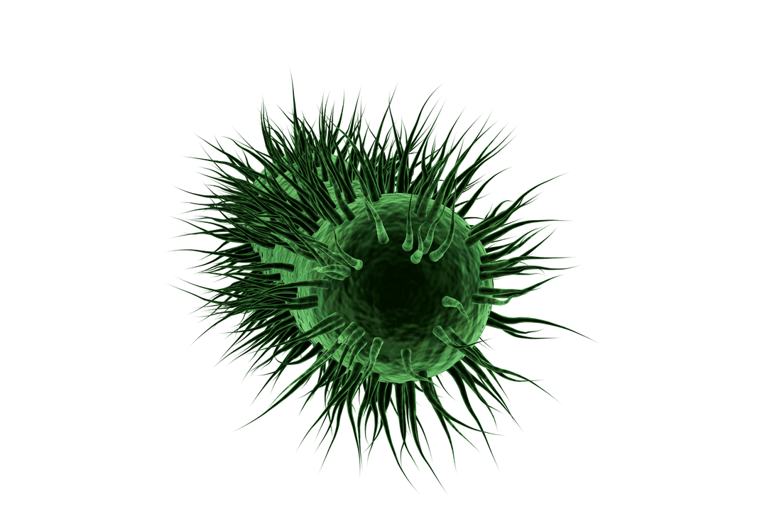 Transparent Background Green Virus Digital Illustration - Download Free Stock Images Pikwizard.com