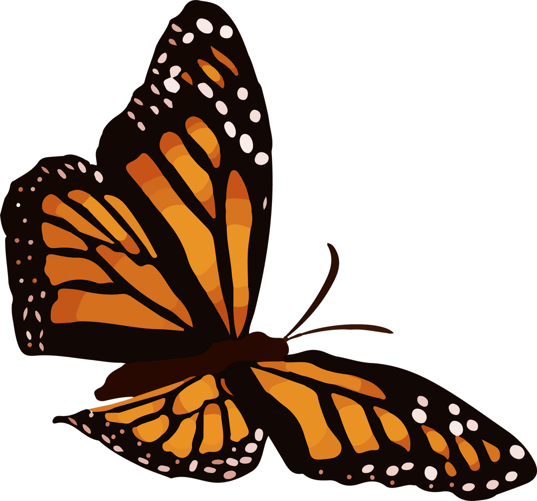 Monarch Butterfly Vector Illustration on Transparent Background