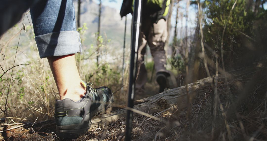 Close-Up of Hikers' Legs Walking on Forest Trail - Free Images, Stock Photos and Pictures on Pikwizard.com