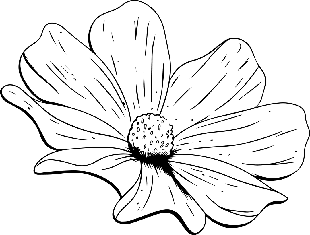 Hand-Drawn Flower Outline Sketch on Transparent Background