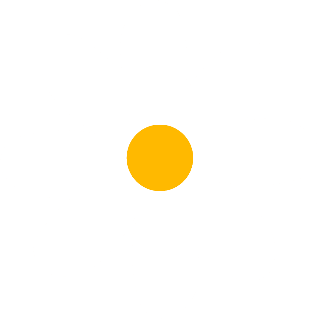 Minimalist Daisy Flower Illustration on Transparent Background