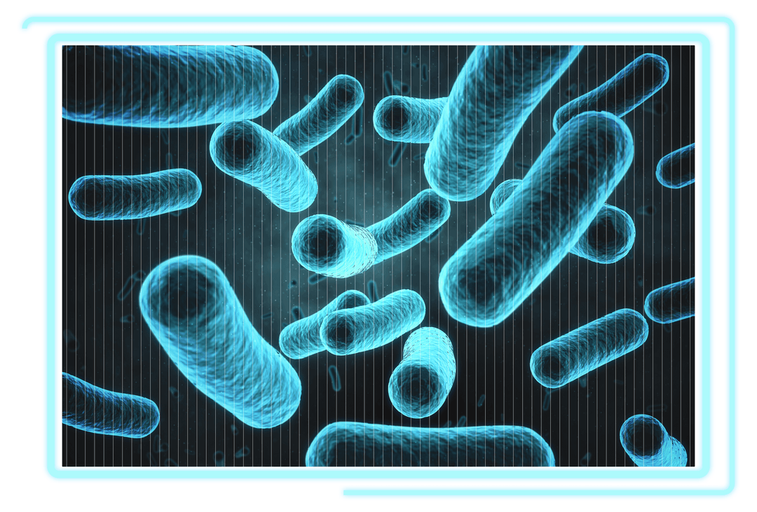 Transparent Bacteria Cells in Blue 3D Illustration