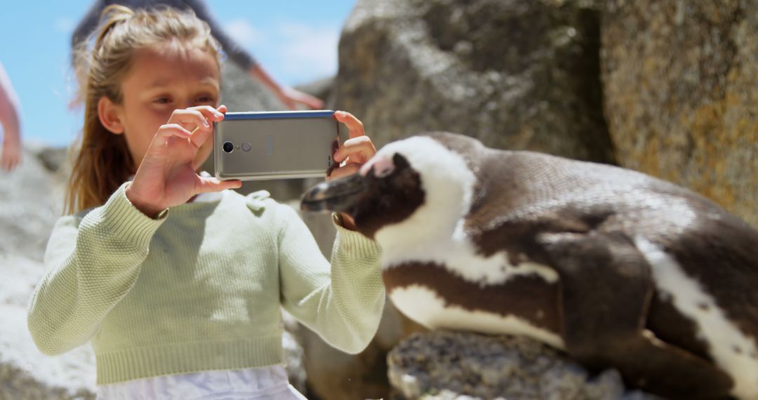 Girl Taking Photo of Penguin in Nature - Free Images, Stock Photos and Pictures on Pikwizard.com