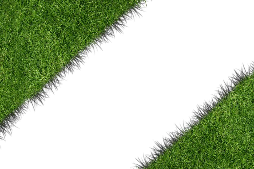 Grass Field with Copy Space on Transparent Background