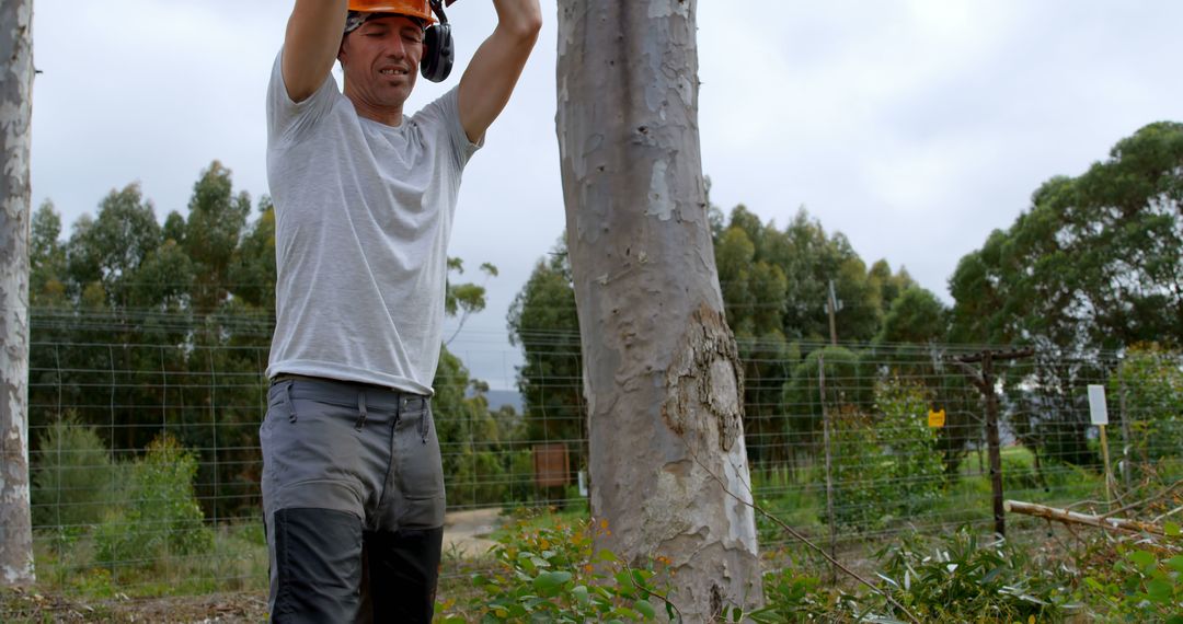 Lumberjack Chopping Tree in Forest, Focus on Outdoor Work