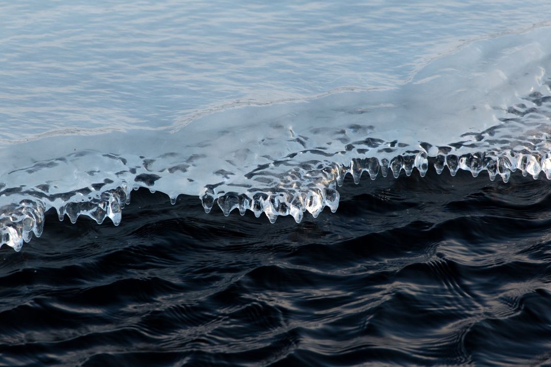 Melting icicles edging rippling dark water, icy shoreline texture under soft light