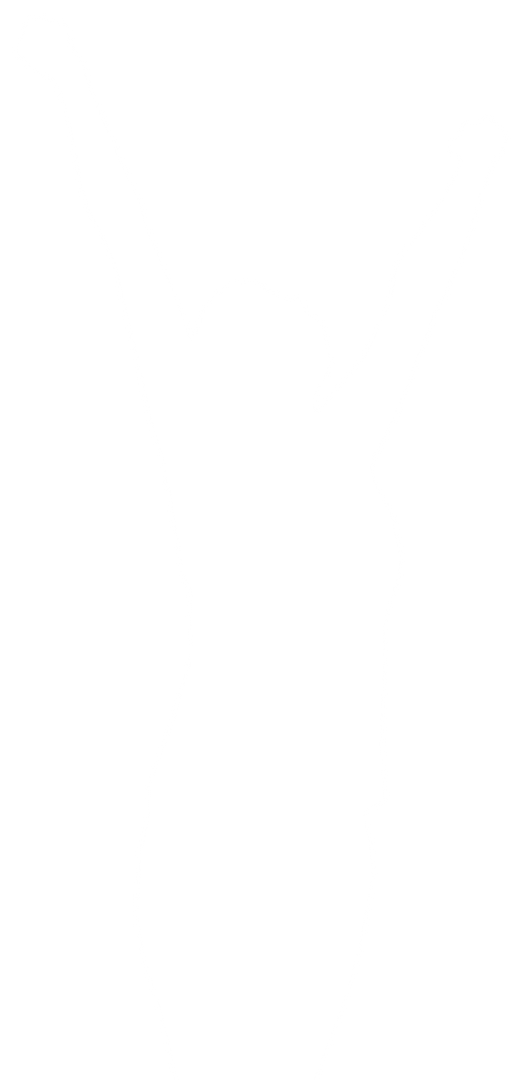 White Silhouette of Happy Woman With Raised Arms on Transparent Background - Download Free Stock Images Pikwizard.com