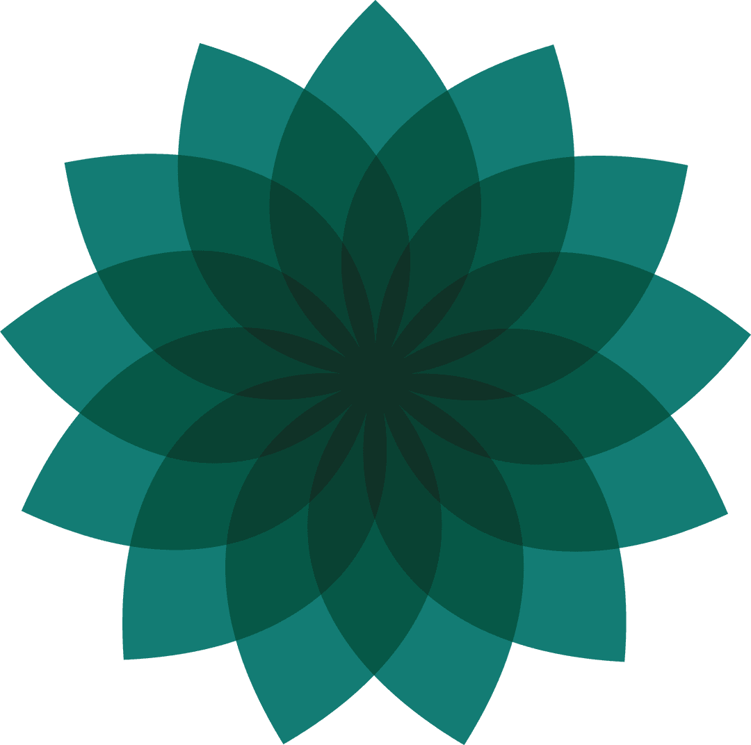 Abstract Geometric Flower Petals on Transparent Background