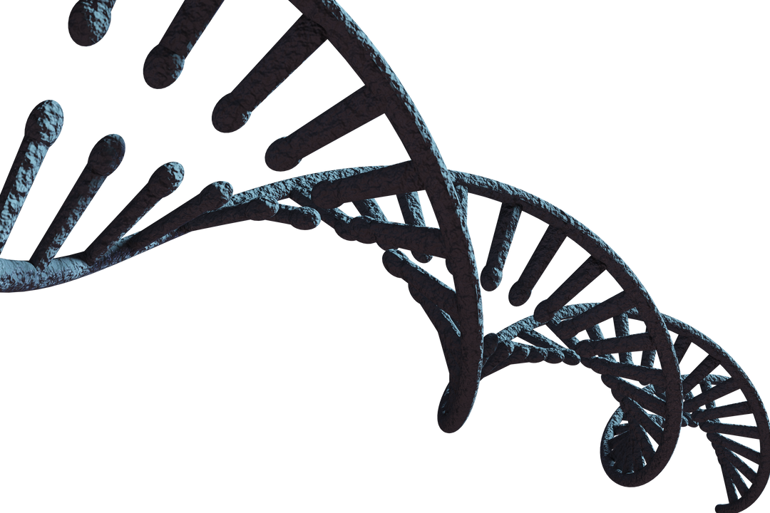 Transparent Macro View of Dark Blue DNA Strand Concept - Download Free Stock Images Pikwizard.com