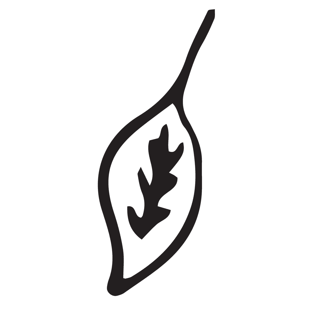 Elegant Black Leaf Icon Illustrating Nature on Transparent Background