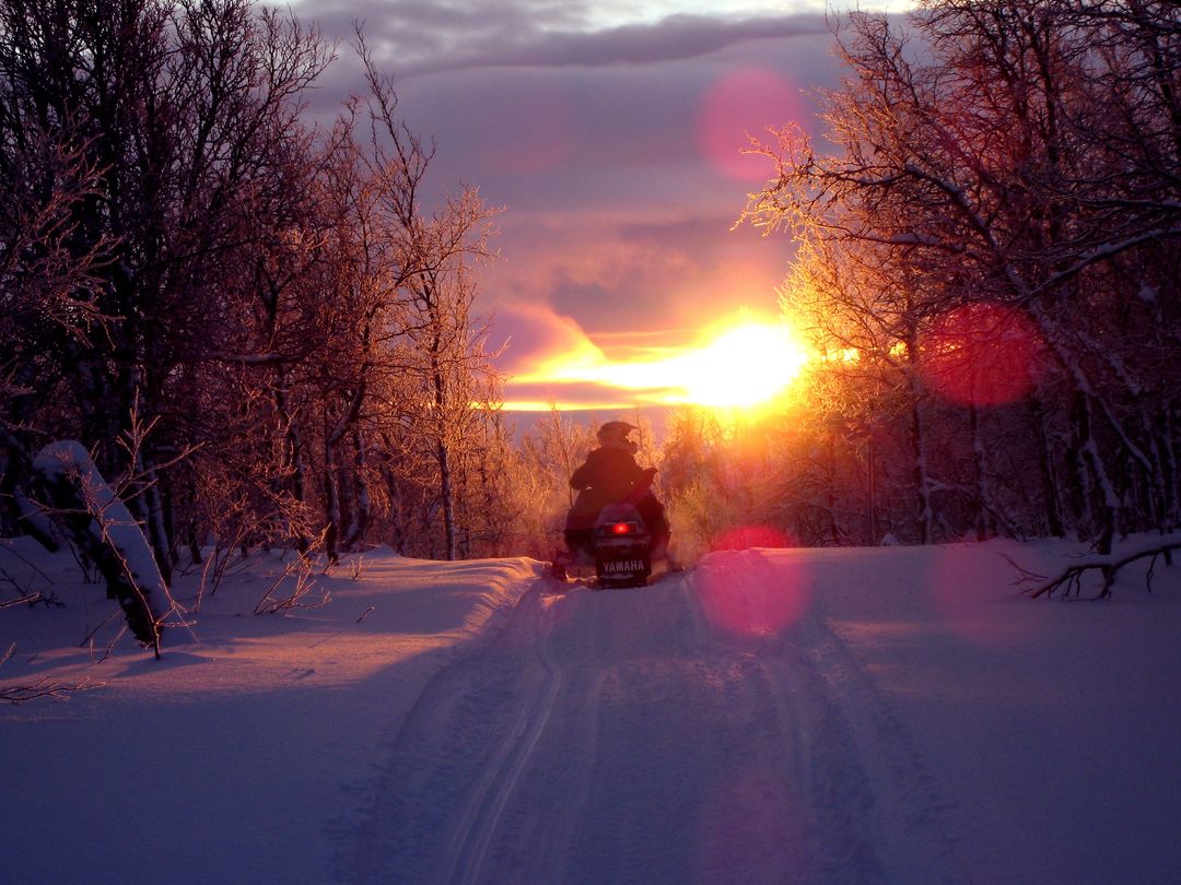 Snowmobiling at Sunset through Snowy Forest Trail - Free Images, Stock Photos and Pictures on Pikwizard.com