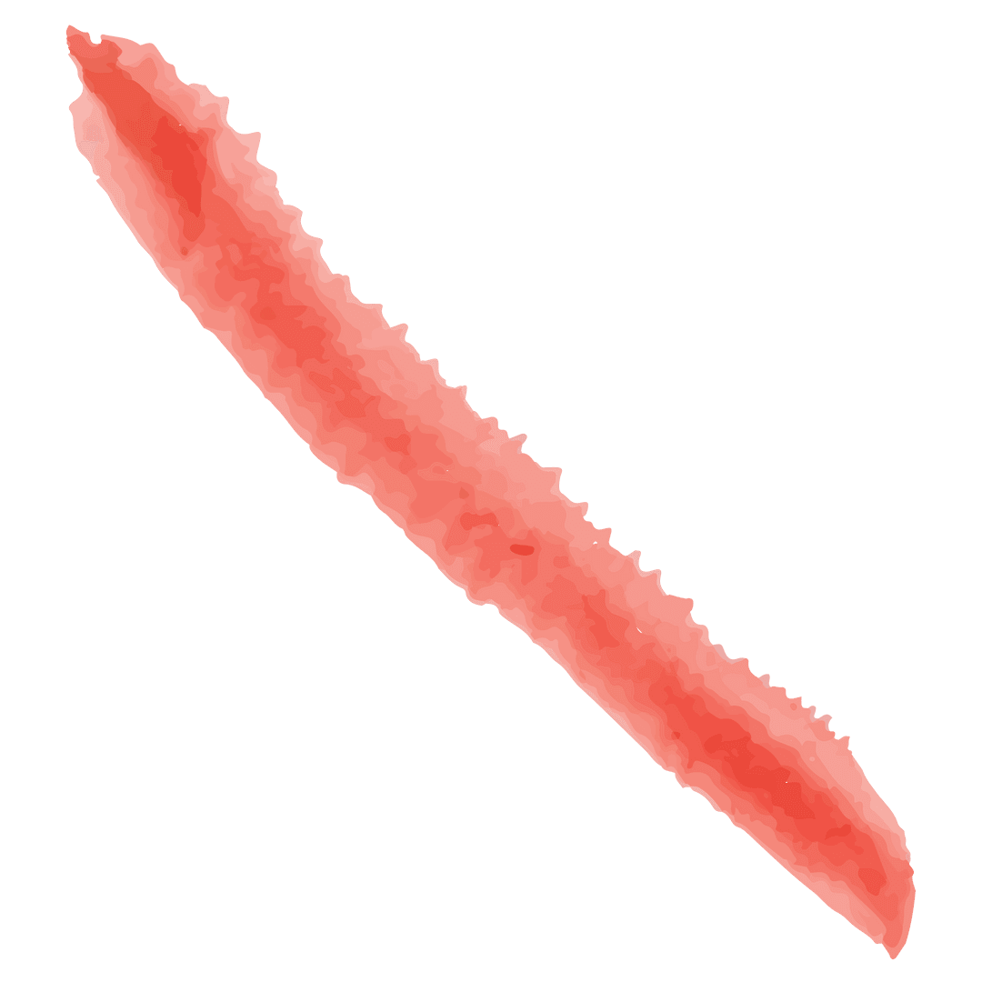 Abstract red brush stroke illustration on transparent background