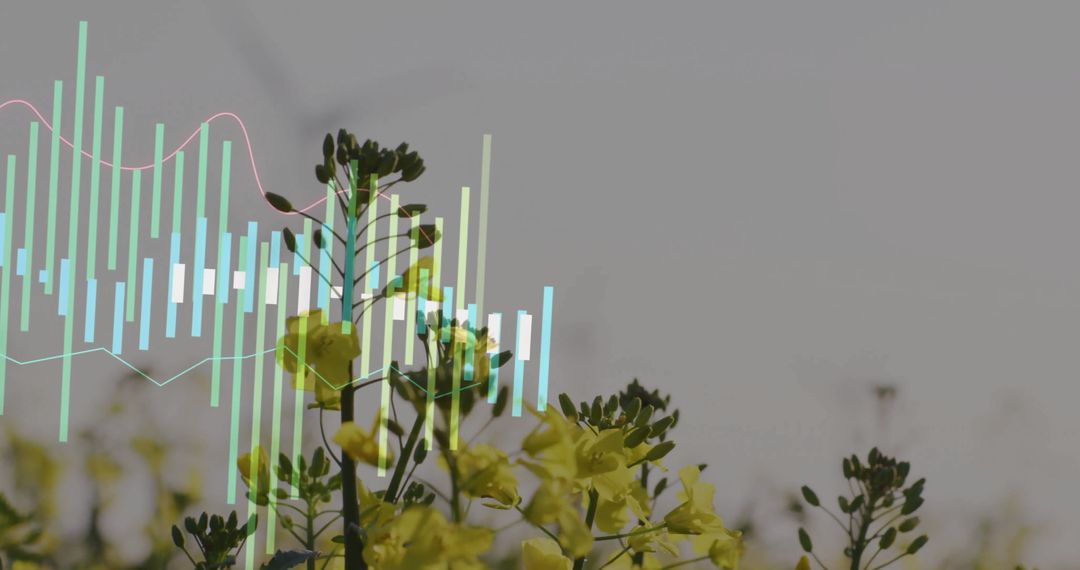 Floral Growth Trends on Digital Analytics Platforms