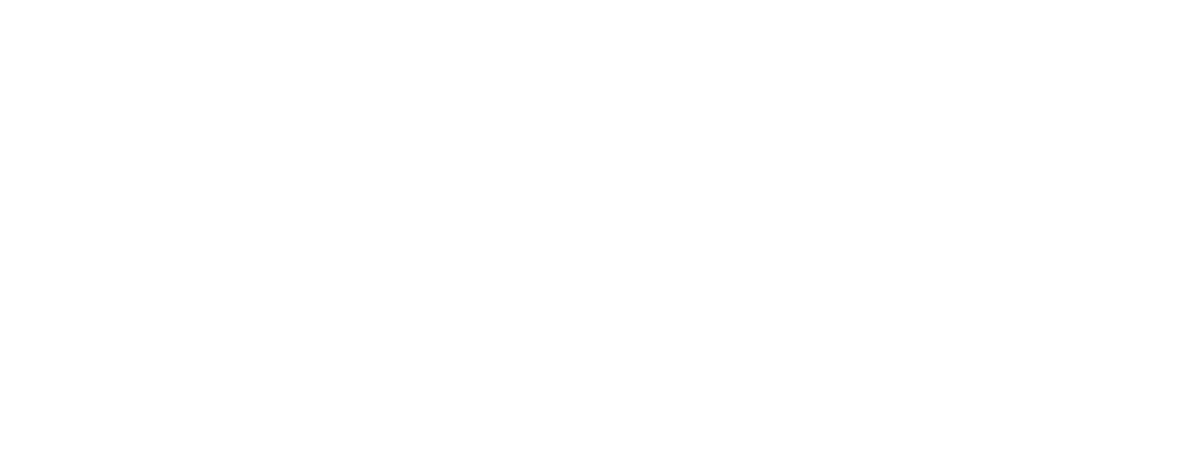 Transparent Palm Trees and Summer Adventure Text Design