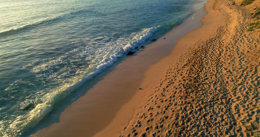 Pristine Sandy Beach at Sunrise with Gentle Waves - Free Images, Stock Photos and Pictures on Pikwizard.com