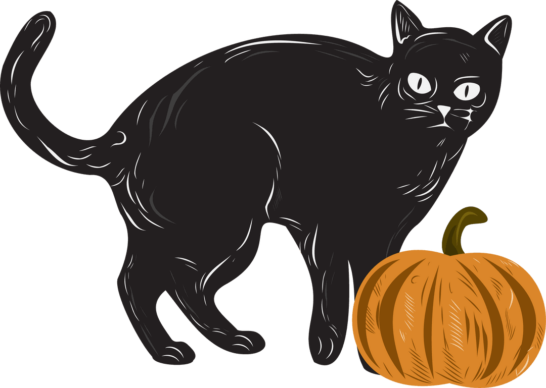 Whimsical Black Cat with Pumpkin on Transparent Background