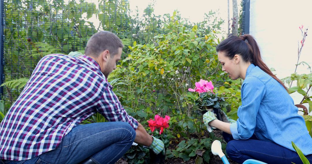 Man and Woman Planting Flowers in Garden - Free Images, Stock Photos and Pictures on Pikwizard.com