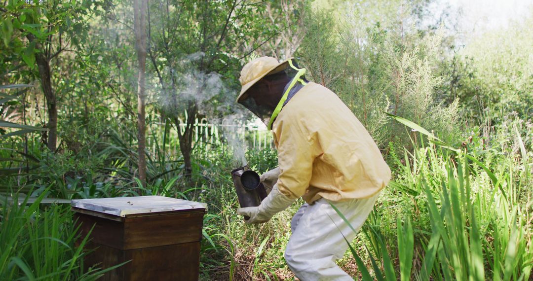 Caucasian male beekeeper in protective clothing using smoker to calm bees in a beehive - Free Images, Stock Photos and Pictures on Pikwizard.com