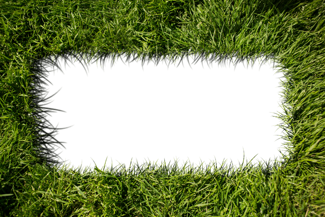 Transparent Grass Frame Illustration with Copy Space