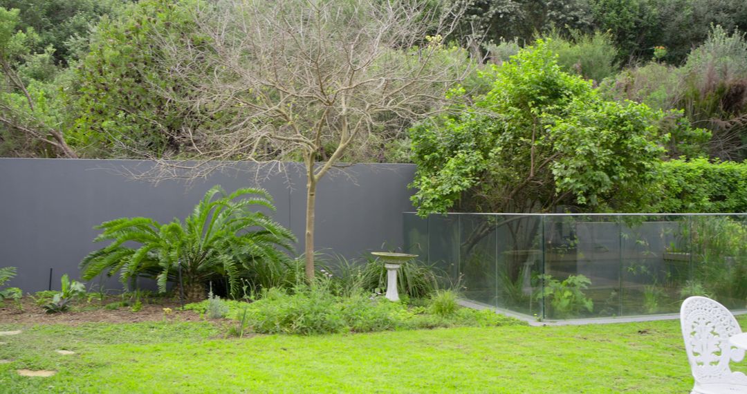 Leafless tree standing on bright green lawn with birdbath and glass fence reflecting shrubs