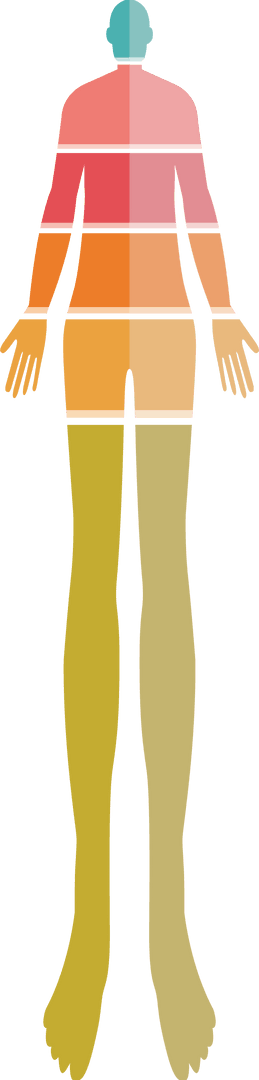 Colorful Human Silhouette on Transparent Background - Isolated Multi-colored Design