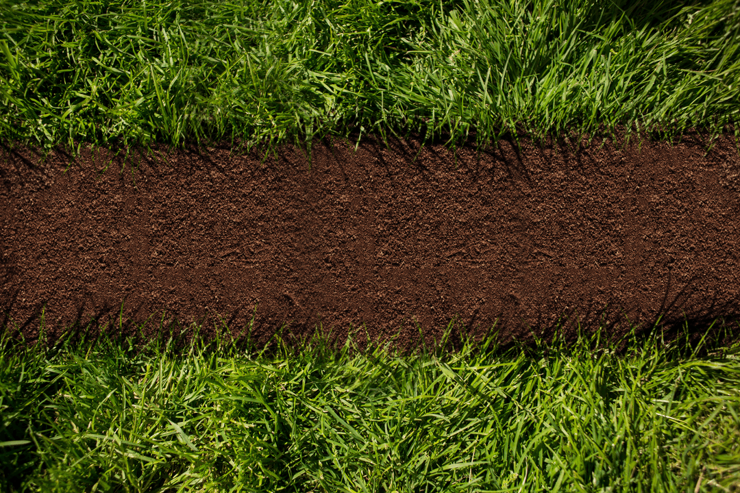 Top View of Fresh Grass and Cultivated Soil, Grass Plant Care