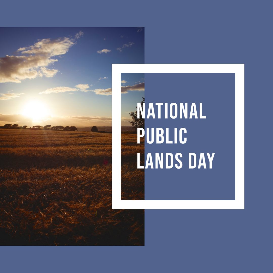 Celebrating National Public Lands Day with Sunlit Fields