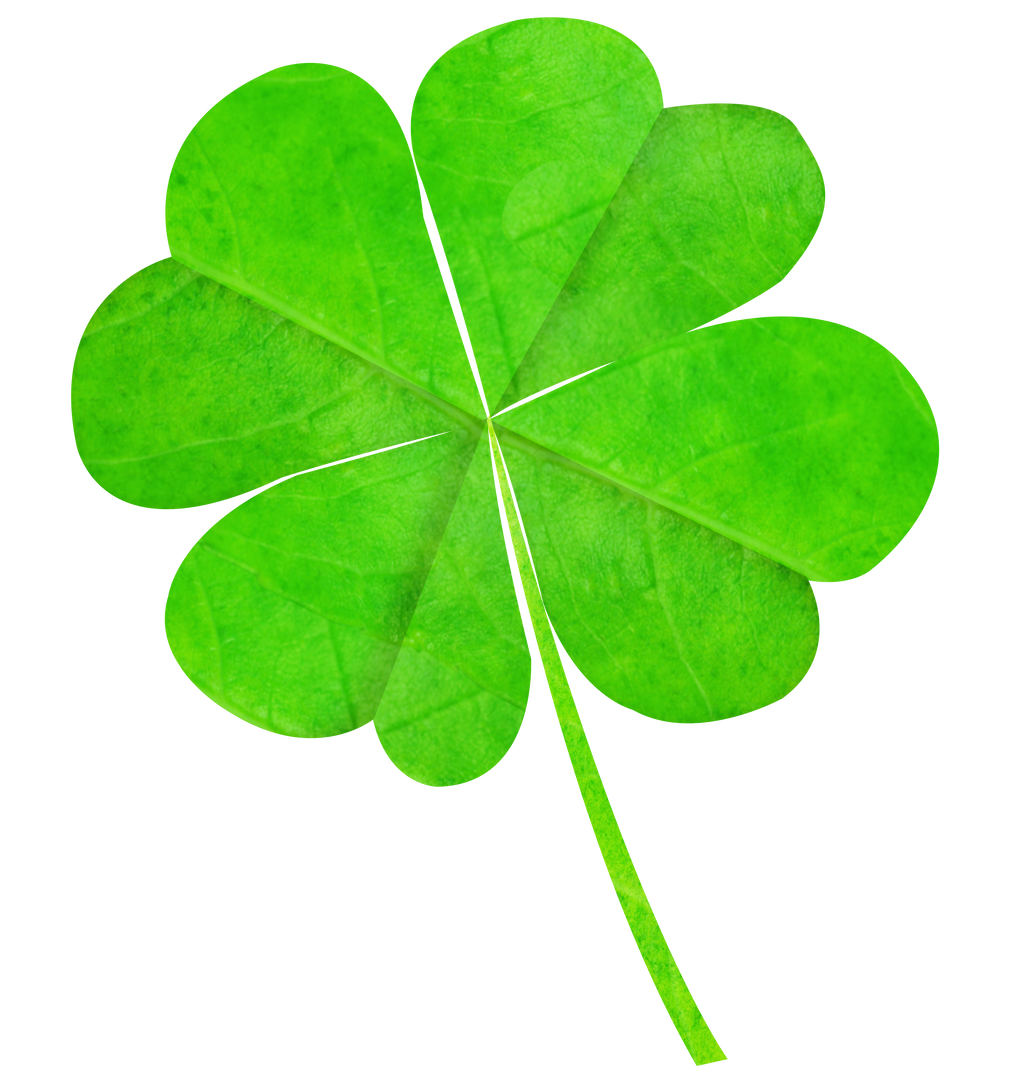 Transparent Four-Leaf Clover Isolated on White Background - Download Free Stock Images Pikwizard.com