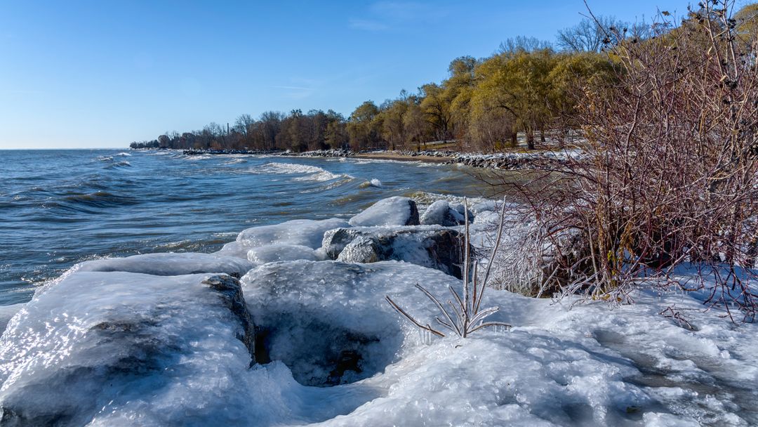 Frozen shoreline embracing winter waves under clear blue sky with icy rocks and bare trees