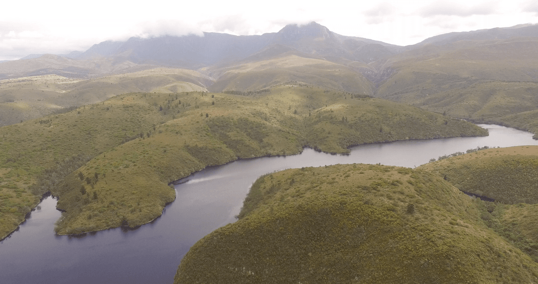 Transparent aerial view of serpentine river through green hills