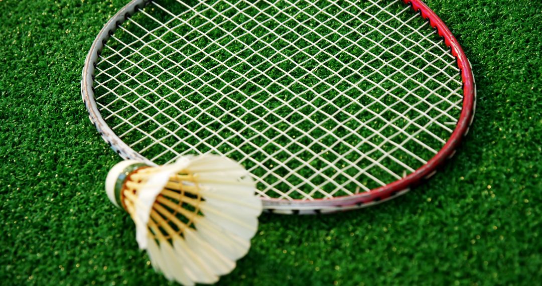Badminton Racket and Shuttlecock Resting on Outdoor Lawn