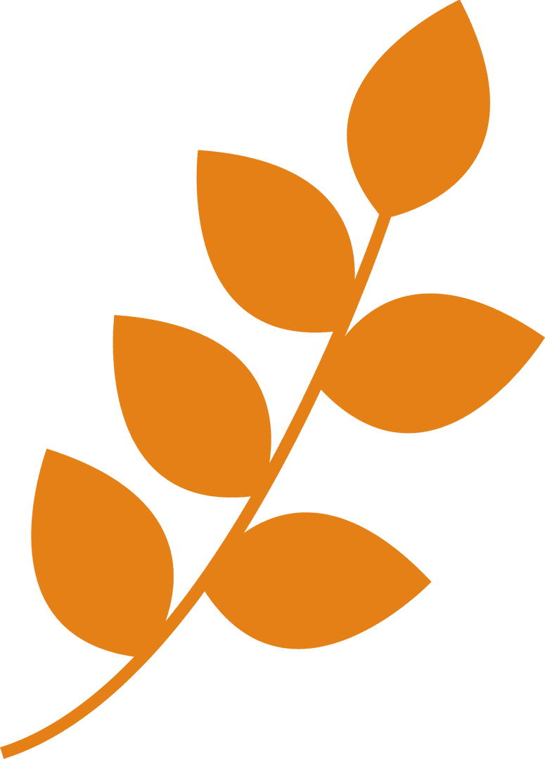 Orange Botanical Branch Illustration on Transparent Background