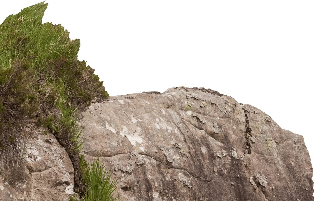 Transparent Rocky Mountain Surface with Lush Green Grass