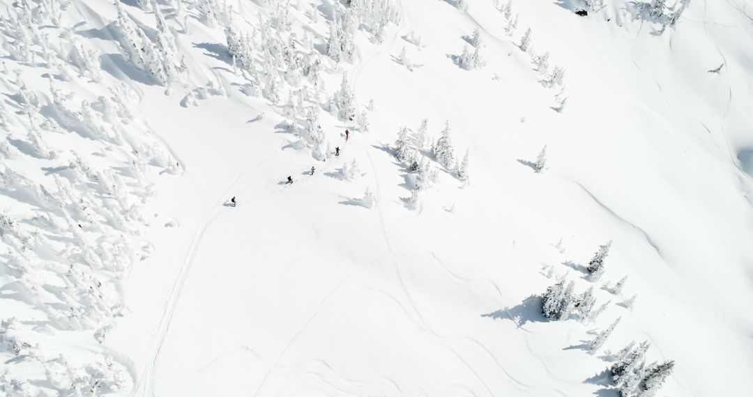 Aerial View of Snowmobiles on Pristine Snowy Landscape - Free Images, Stock Photos and Pictures on Pikwizard.com