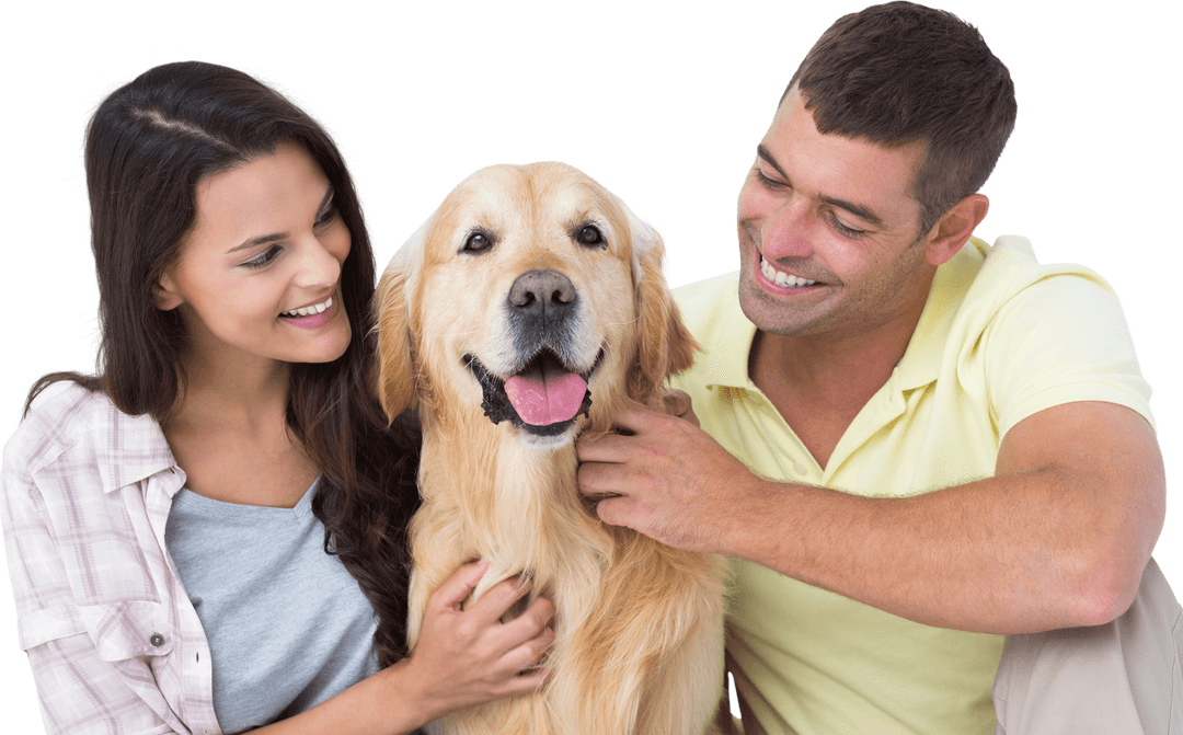 Cheerful Couple Resting Transparent with Golden Retriever in Cozy Home