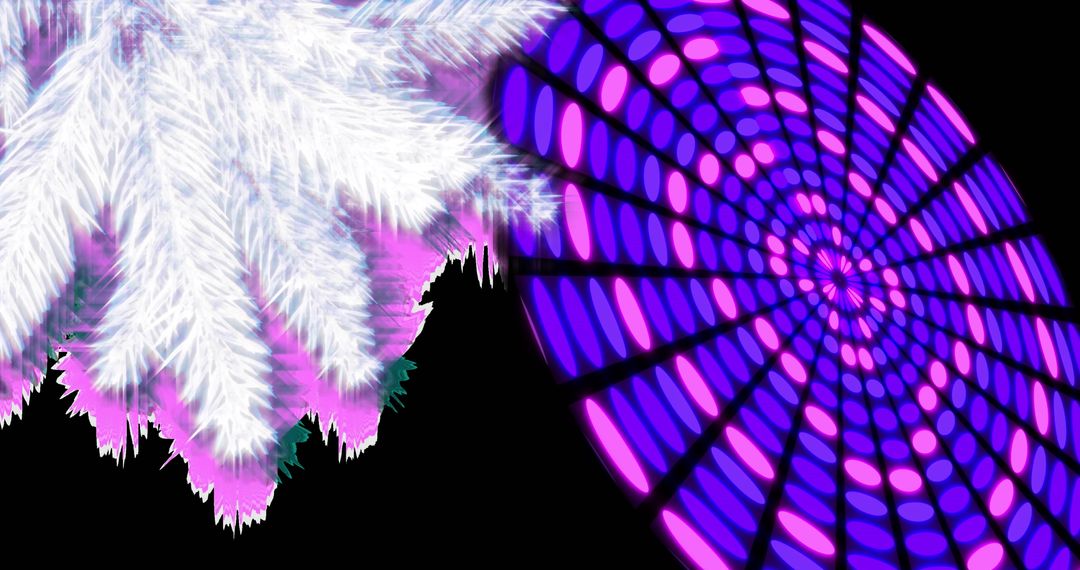 Colorful Circular Light Decoration with Fir Tree Branch at Night