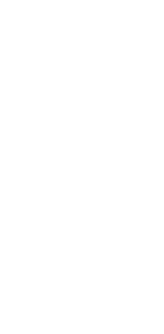 Silhouette of Person Lifting Weights on Transparent Background - Download Free Stock Images Pikwizard.com