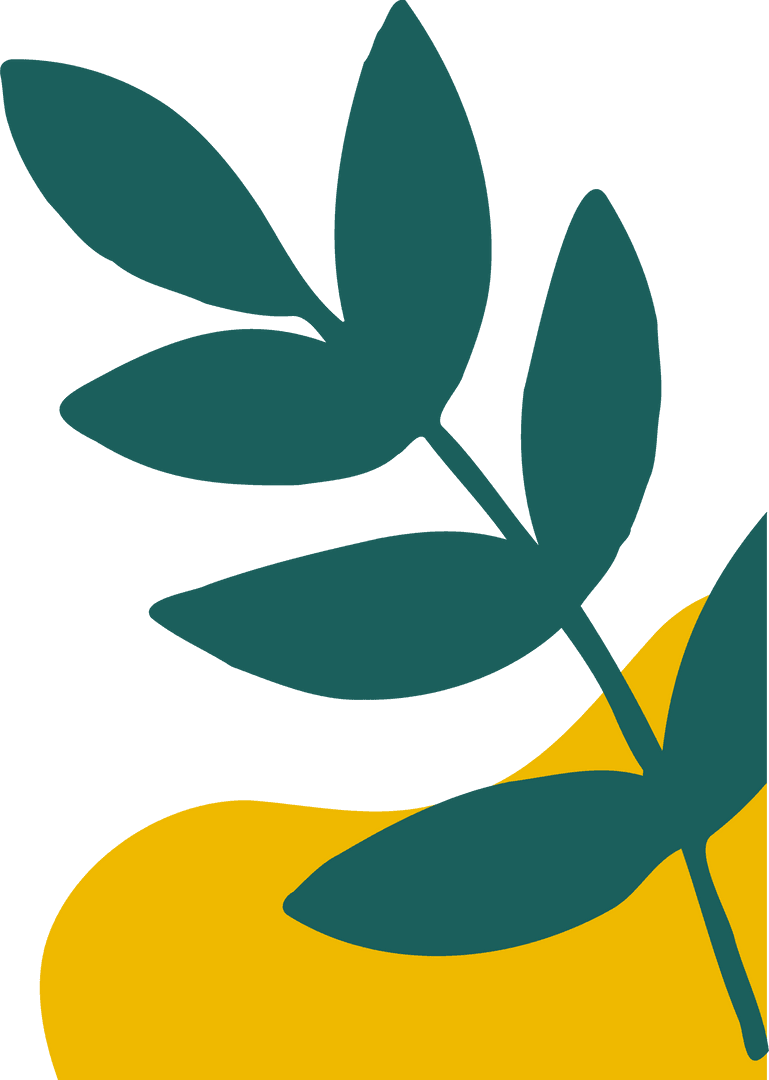 Transparent Background Botanical Illustration with Leaf Over Yellow Shape