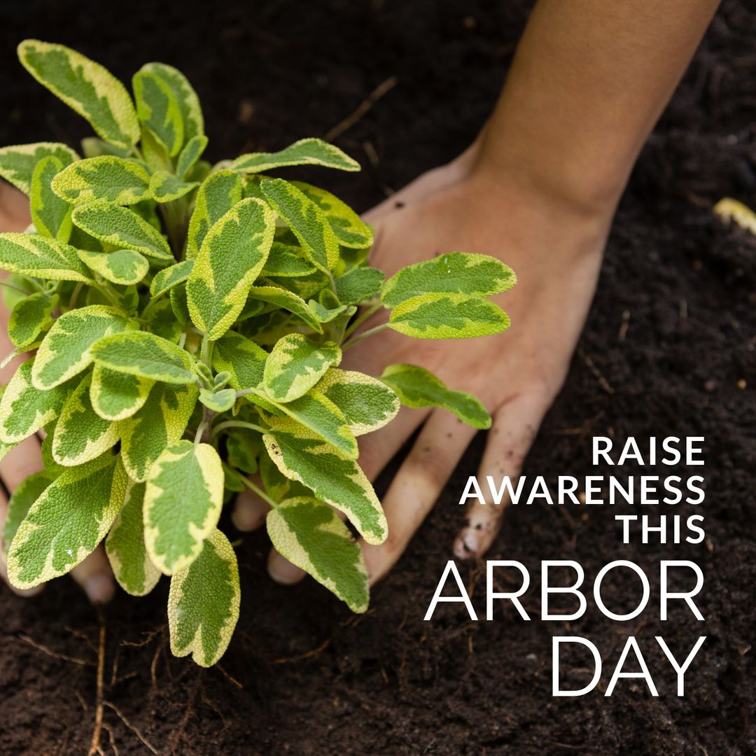 Caucasian Woman Planting Seedling with Arbor Day Awareness Message - Download Free Stock Templates Pikwizard.com