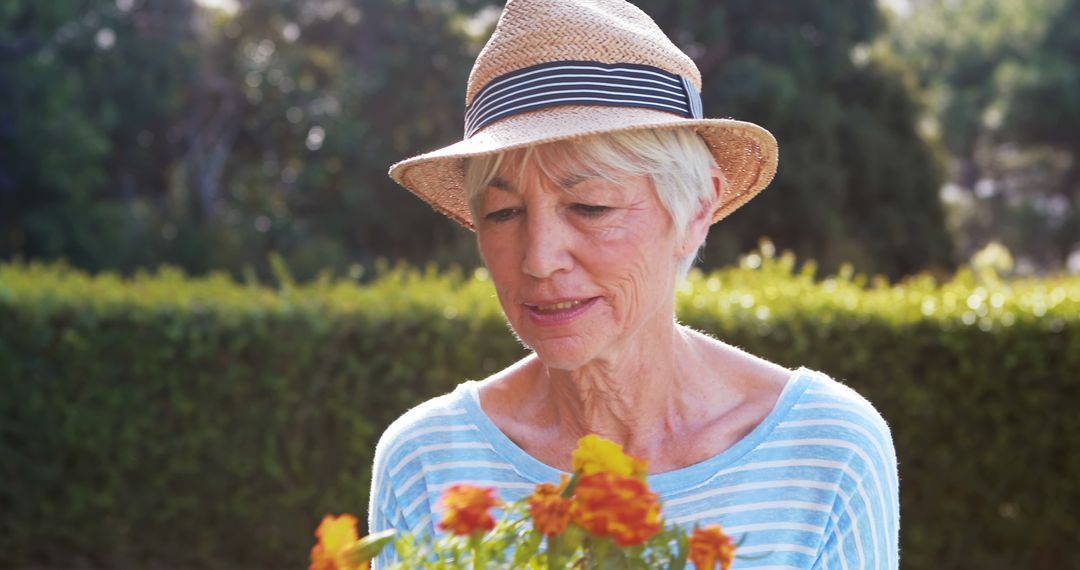 Senior woman enjoying gardening with flowers in outdoor garden - Free Images, Stock Photos and Pictures on Pikwizard.com