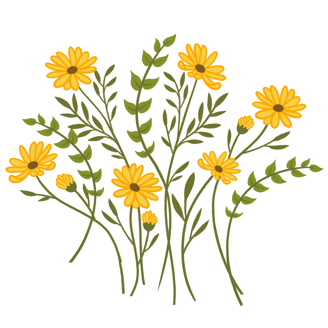 Transparent Daisies Illustration Vector with Green Stems