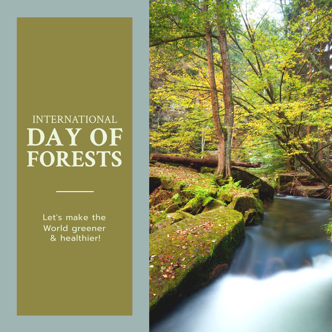 Lush Forest Stream Celebrating International Day of Forests