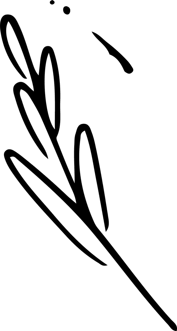 Elegant Botanical Line Art Simple Sketch with Transparent Background