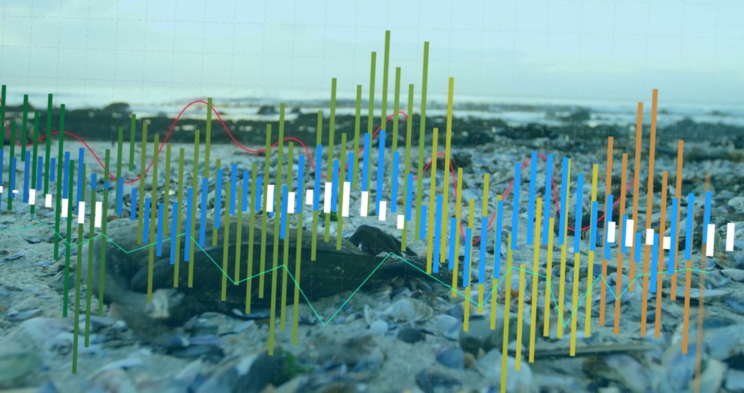 Digital Financial Data Analysis Over Rocky Beach